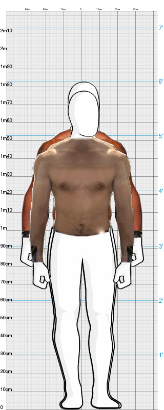 Full Size Comparison