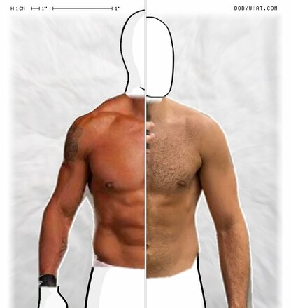 Torso Comparison