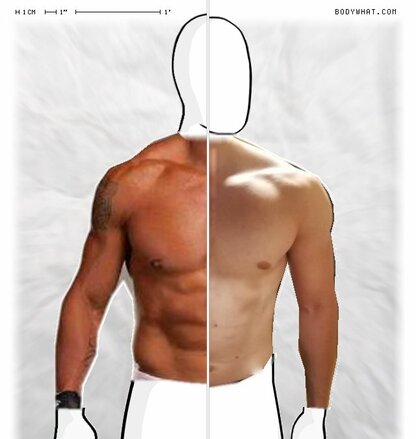 Torso Comparison