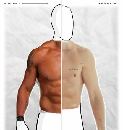 Torso Comparison
