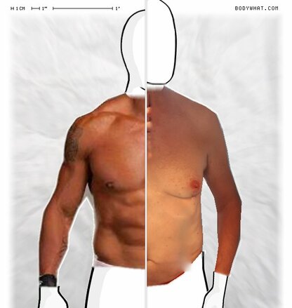 Torso Comparison