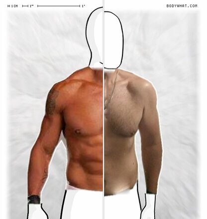 Torso Comparison