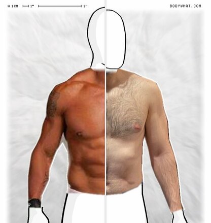 Torso Comparison