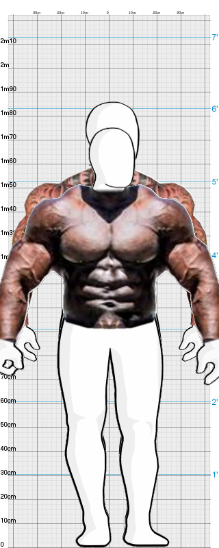 Full Size Comparison