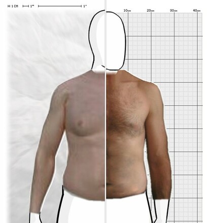 Torso Comparison