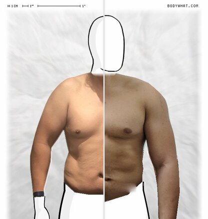 Torso Comparison