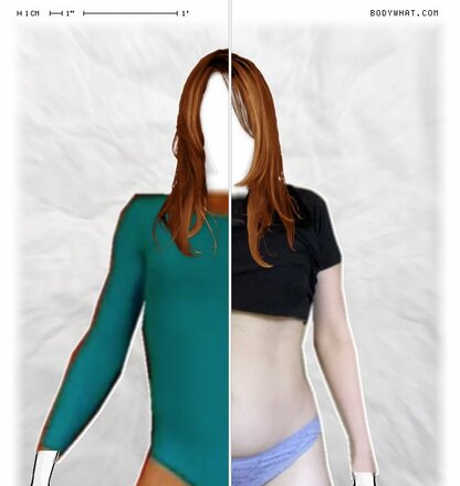 Torso Comparison