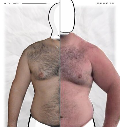 Torso Comparison