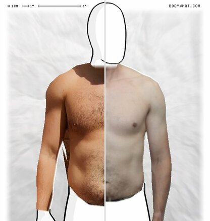 Torso Comparison