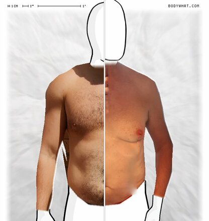 Torso Comparison