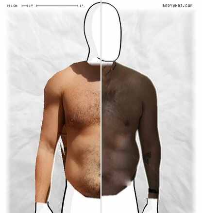 Torso Comparison