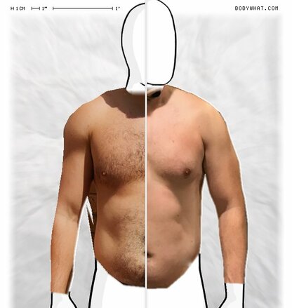 Torso Comparison