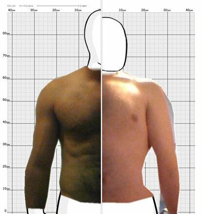 Torso Comparison