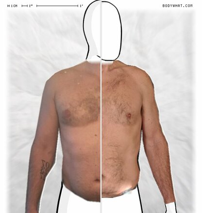 Torso Comparison
