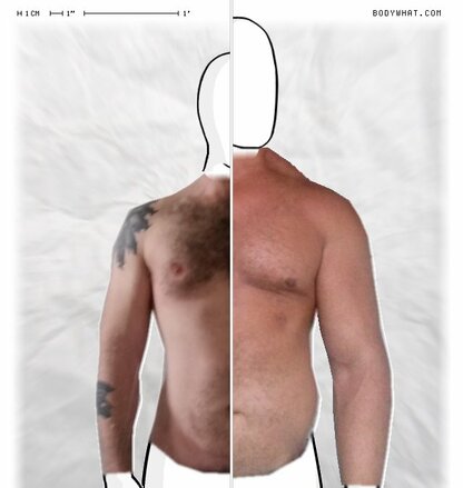Torso Comparison
