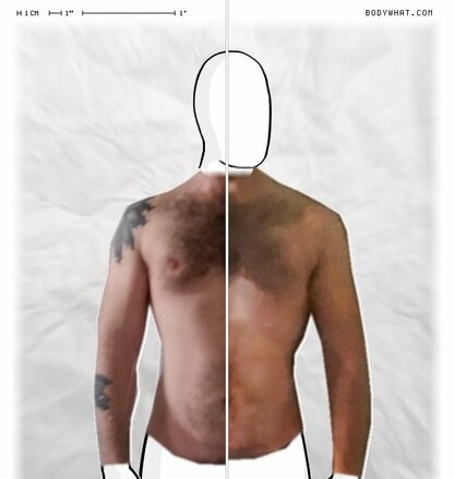 Torso Comparison
