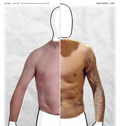 Torso Comparison