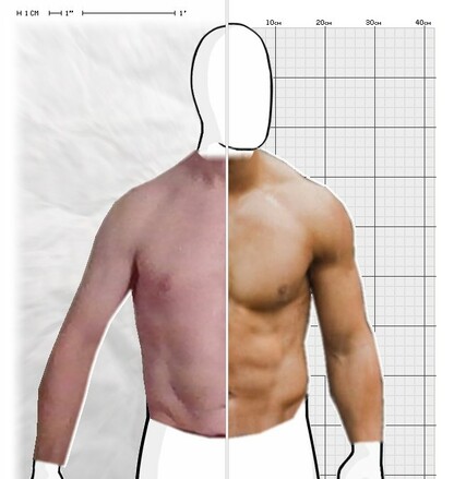 Torso Comparison