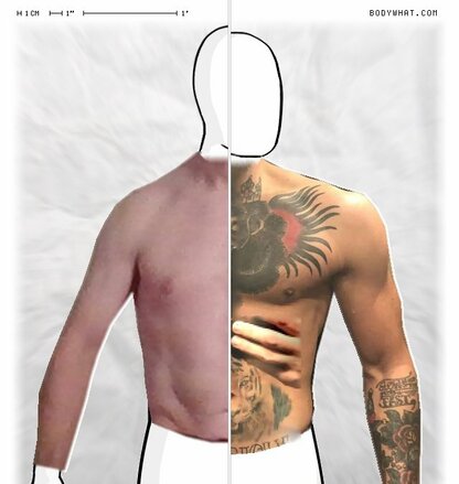 Torso Comparison