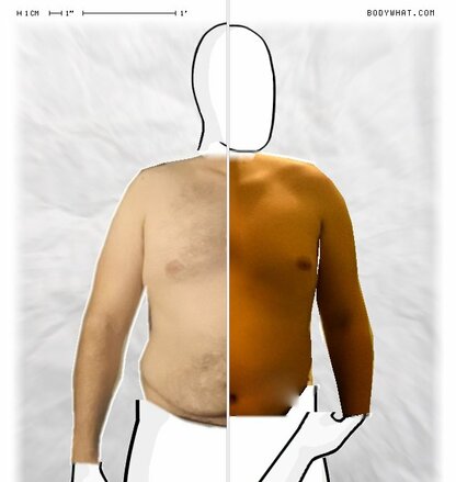 Torso Comparison