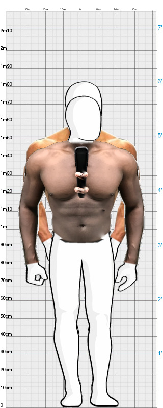 Full Size Comparison