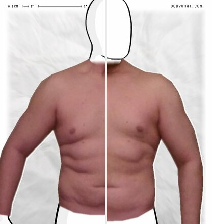 Torso Comparison