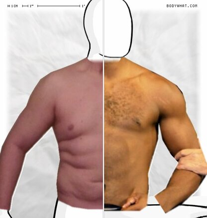 Torso Comparison