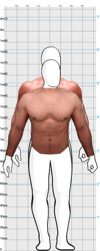 Full Size Comparison