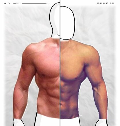 Torso Comparison