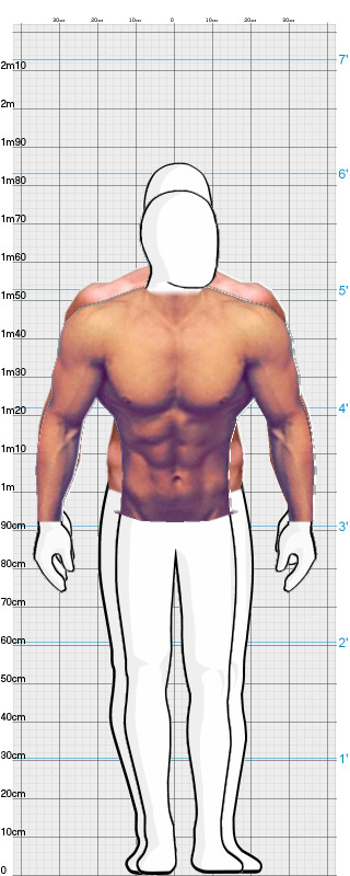 Full Size Comparison