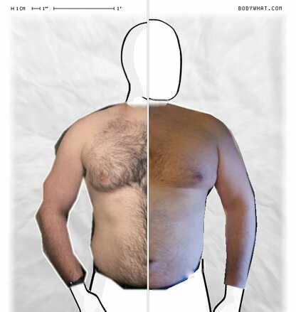 Torso Comparison