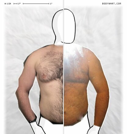 Torso Comparison