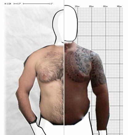 Torso Comparison