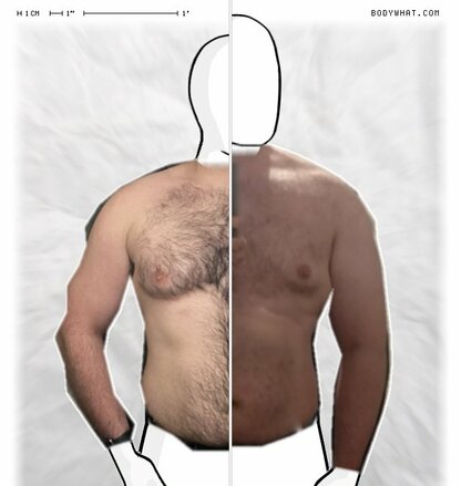 Torso Comparison