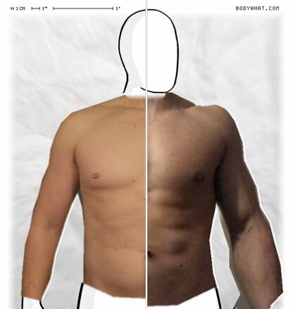 Torso Comparison