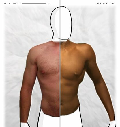 Torso Comparison