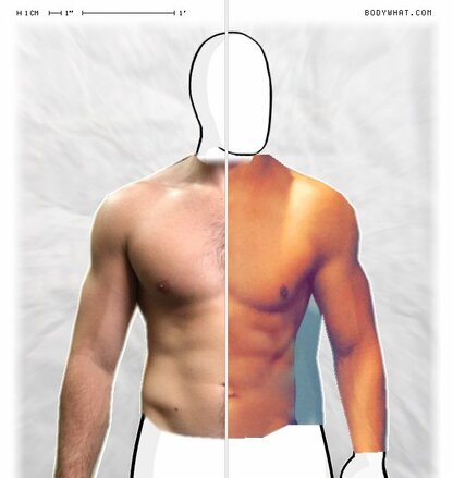 Torso Comparison