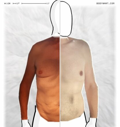 Torso Comparison