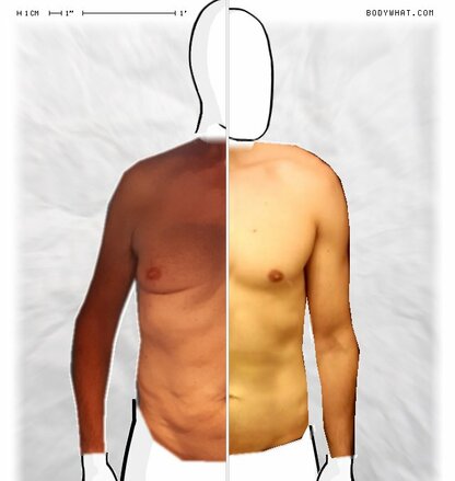 Torso Comparison