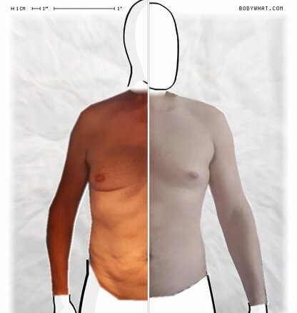 Torso Comparison