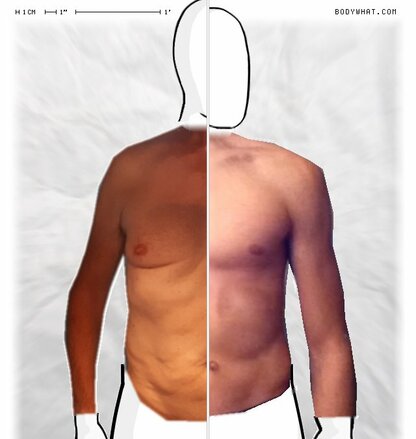 Torso Comparison