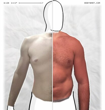 Torso Comparison