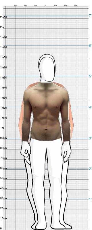 Full Size Comparison