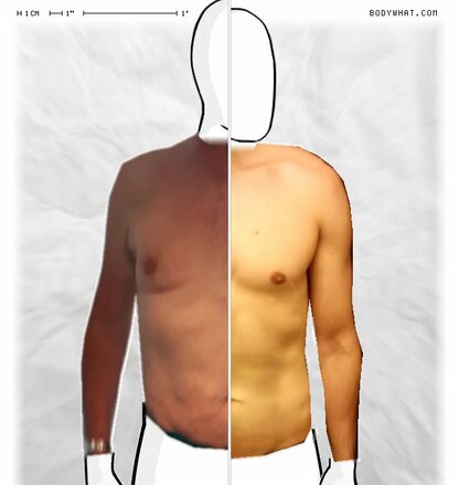 Torso Comparison