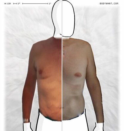 Torso Comparison