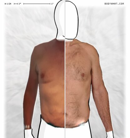 Torso Comparison