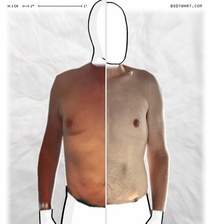 Torso Comparison