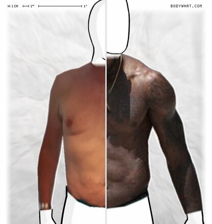 Torso Comparison