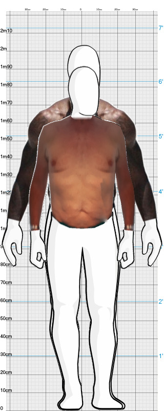 Full Size Comparison