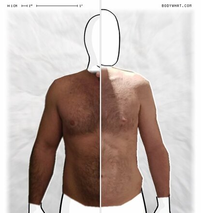 Torso Comparison